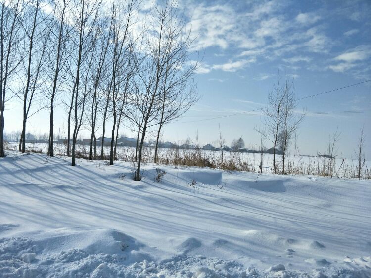 西北风无声的吹着冬天,池子里的鱼需要氧气