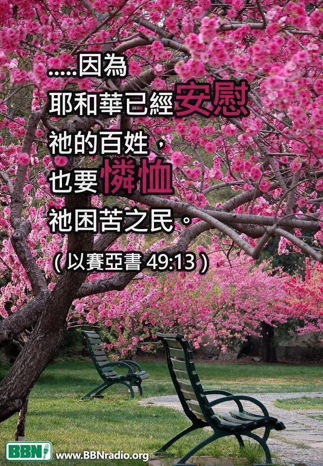 圣经金句