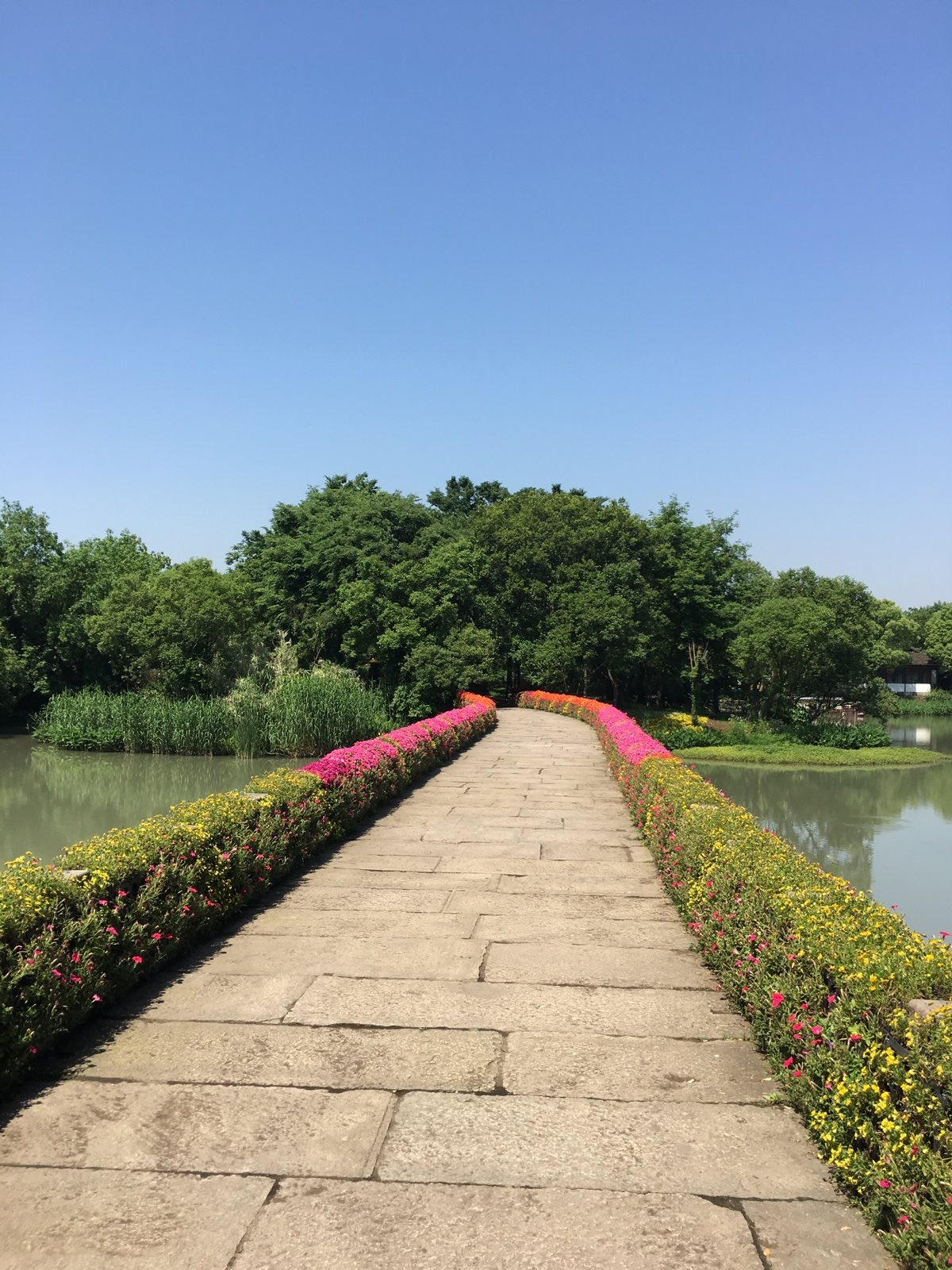 这是西溪湿地公园的一处风景——绿堤.