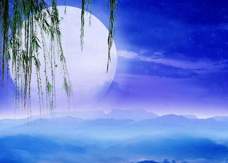 月夜作者宫宝涵编辑春天里