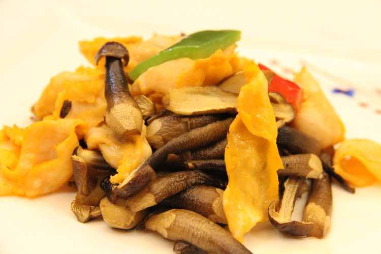 舌尖上的美食——云南野生菌美食节!