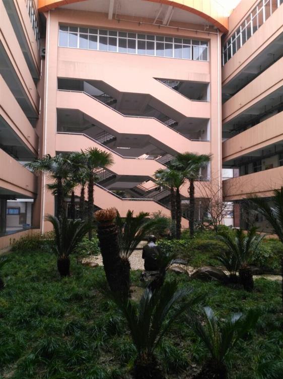 我的留影 - 汤瑾-柳州三中-留影