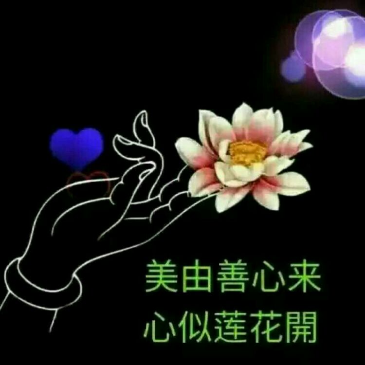 而是通过这样一种方式每天提起我们的善心,善念,善行,让我们心怀爱与