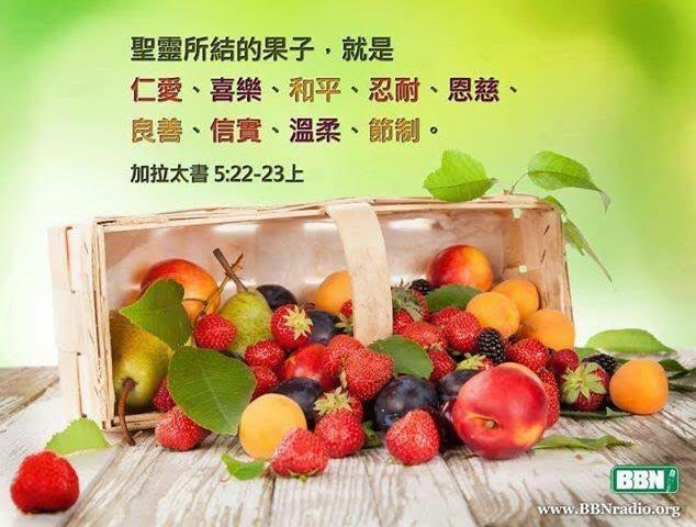 圣经中的九种果子图片图片