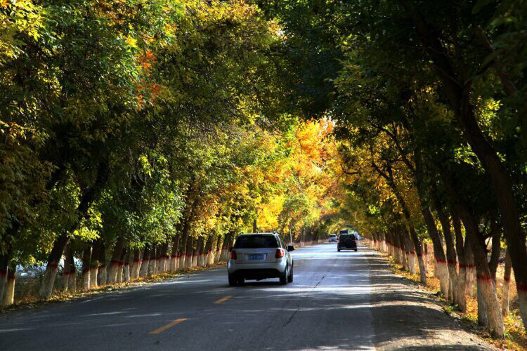 83团新风貌沙山子塞江南