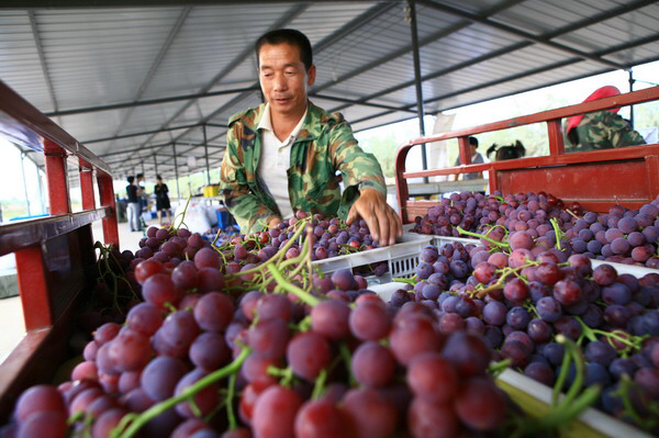 83团新风貌沙山子塞江南